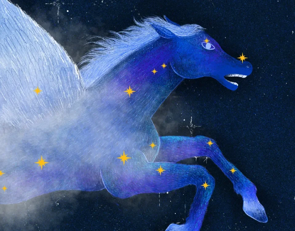 Los animales del cielo, cover