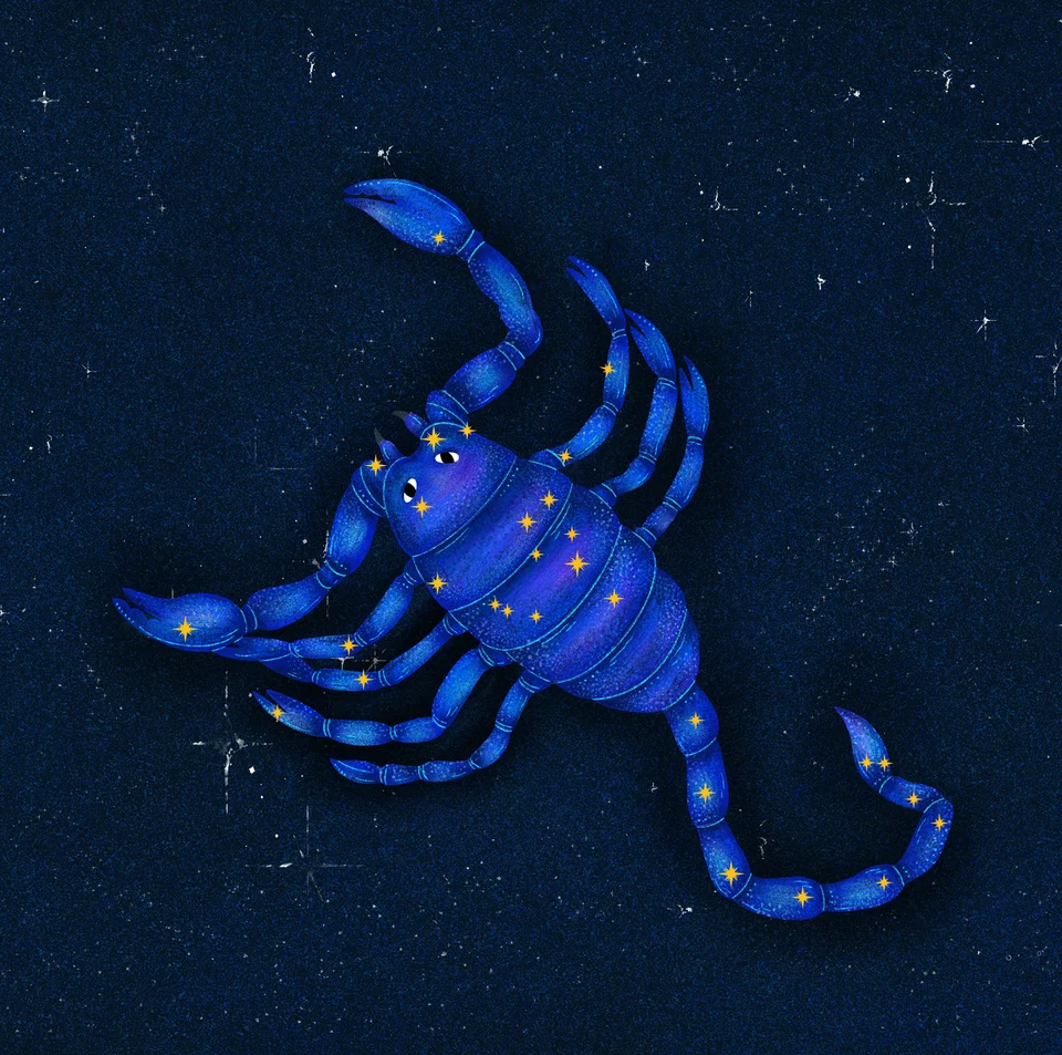 Los animales del cielo, image 7