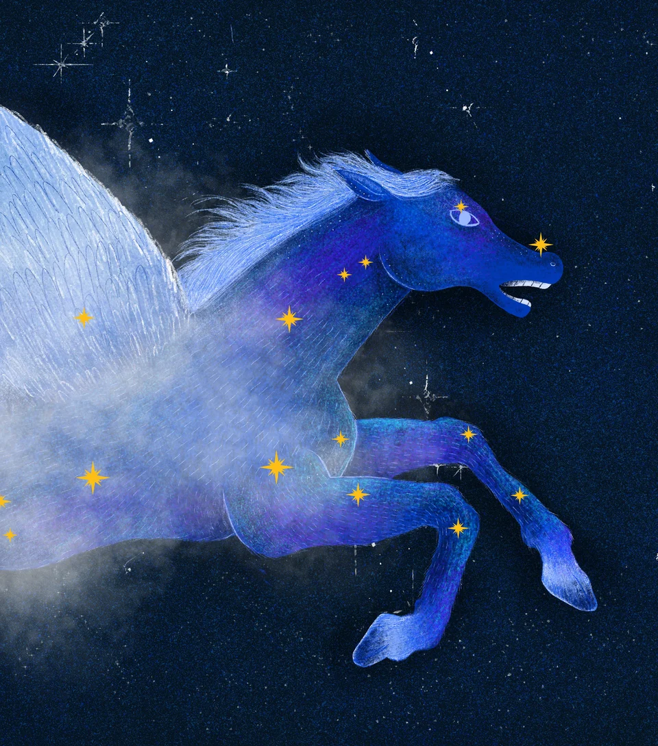 Los animales del cielo, image 8