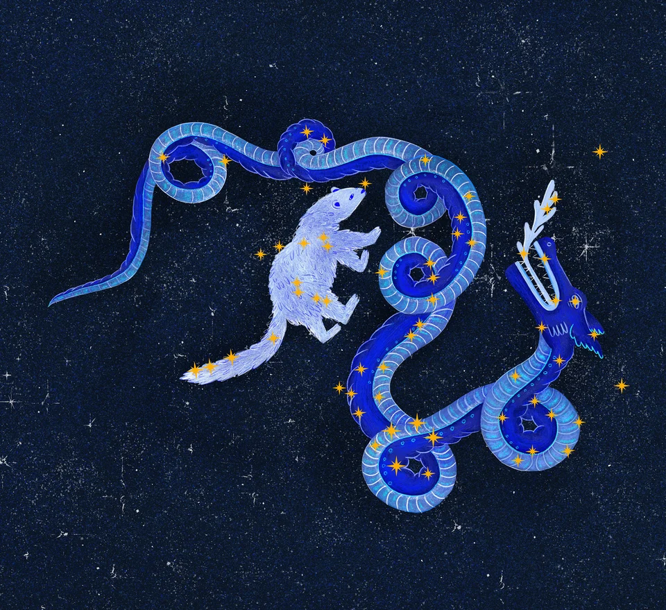 Los animales del cielo, image 2