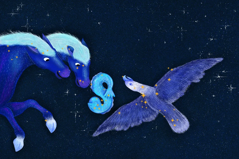 Los animales del cielo, image 12
