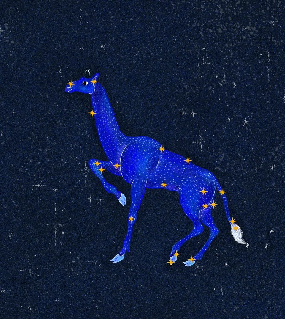 Los animales del cielo, image 19