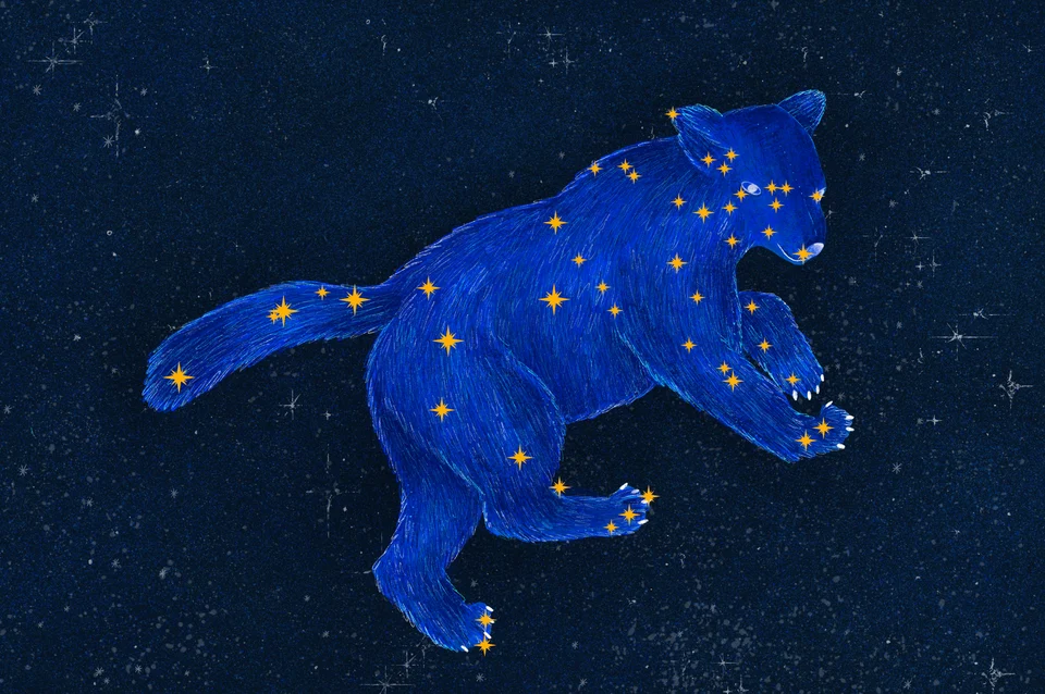 Los animales del cielo, image 11