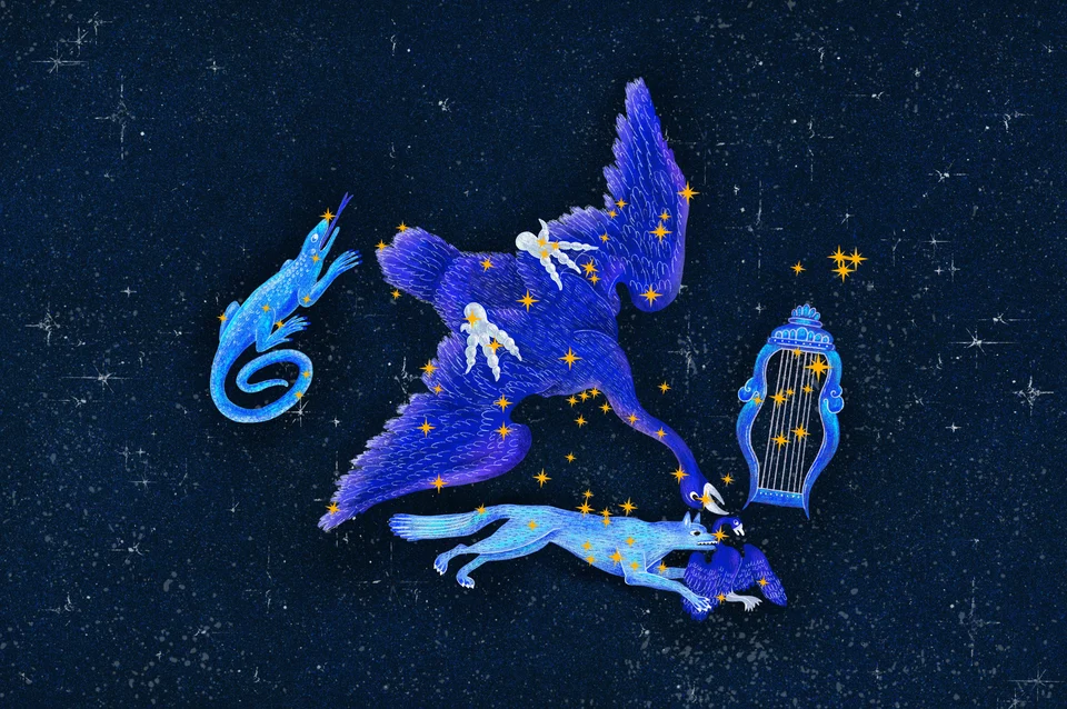 Los animales del cielo, image 13