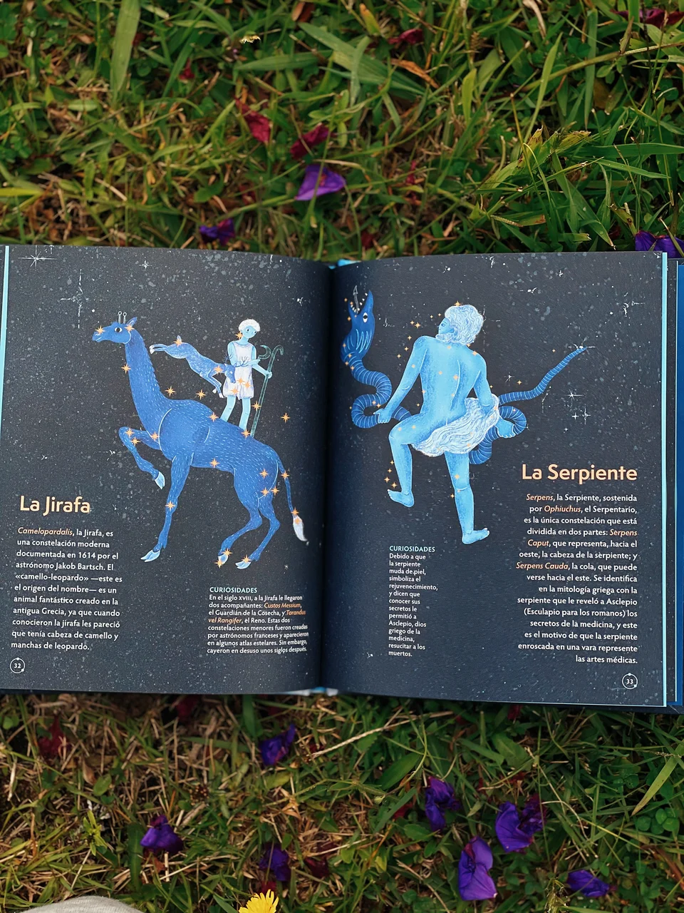 Los animales del cielo, image 20