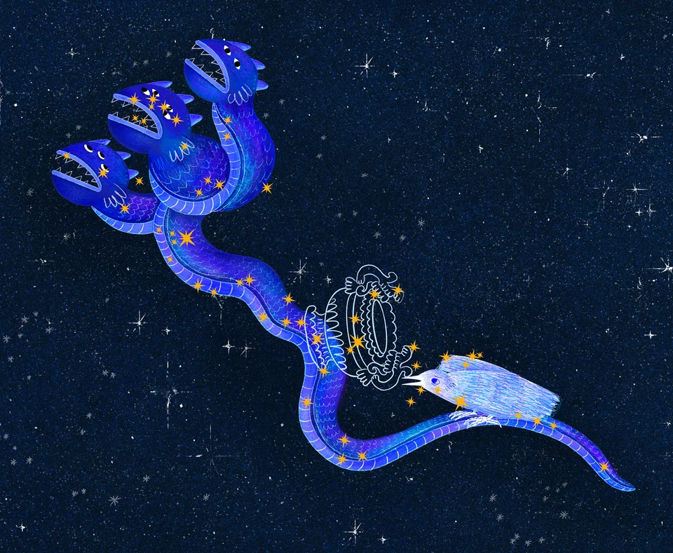 Los animales del cielo, image 24
