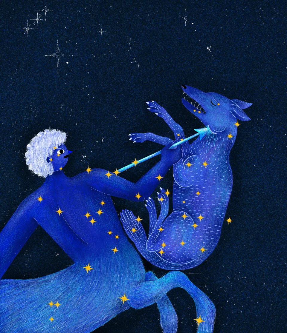 Los animales del cielo, image 4