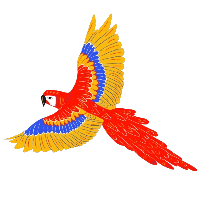 Snapchat, South America, image 18