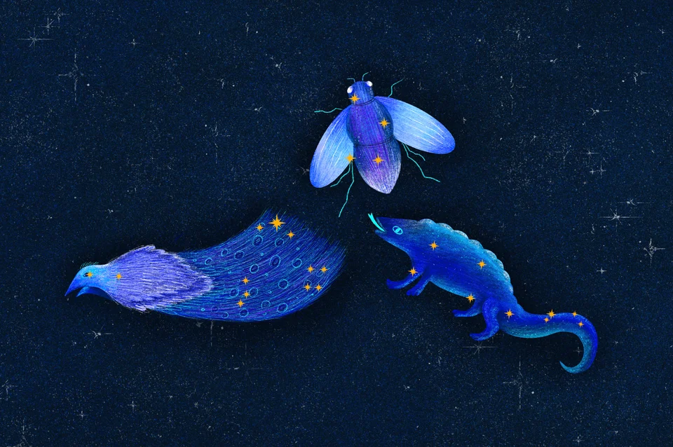 Los animales del cielo, image 26