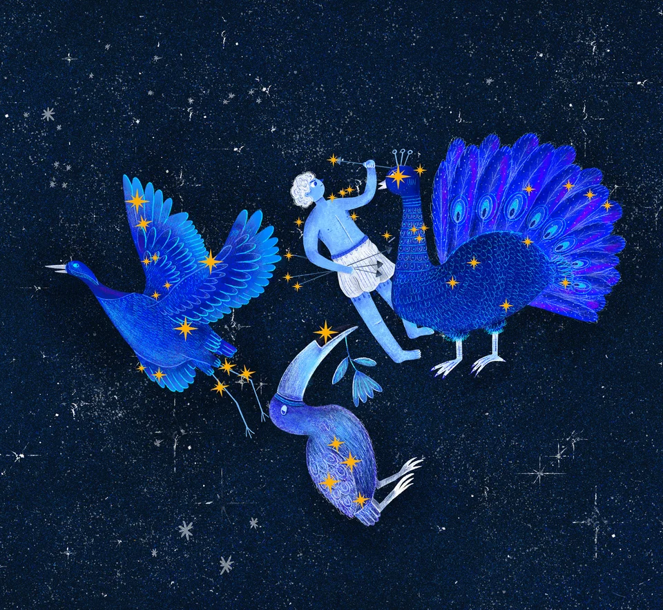 Los animales del cielo, image 21