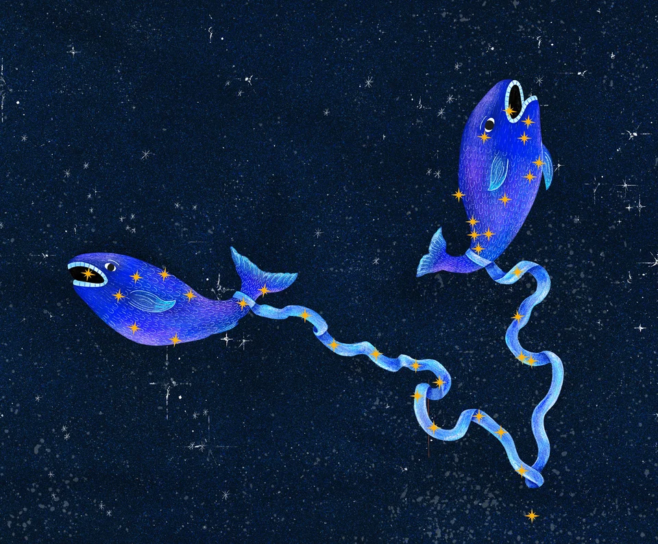 Los animales del cielo, image 5