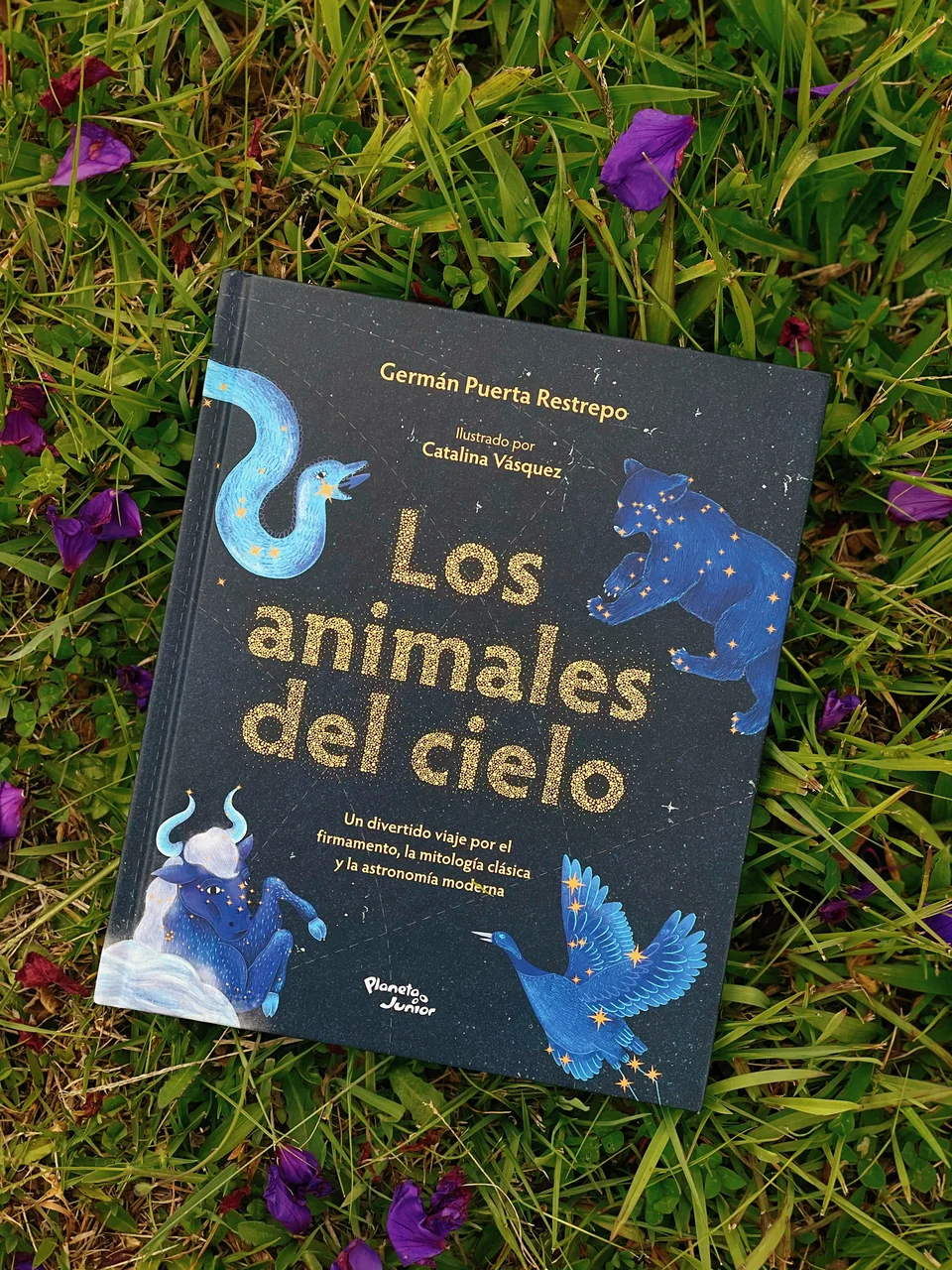 Los animales del cielo, image 1