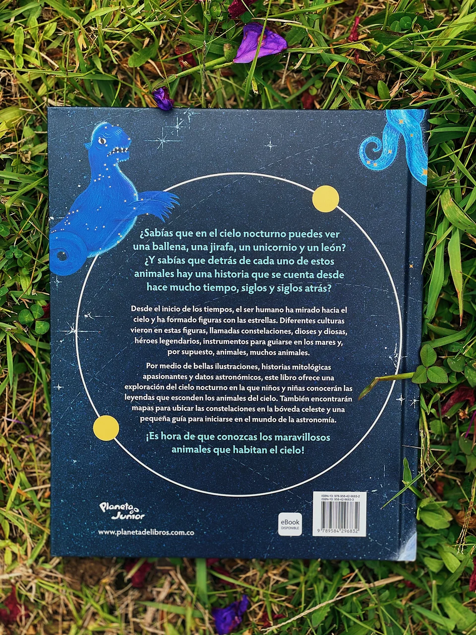 Los animales del cielo, image 30