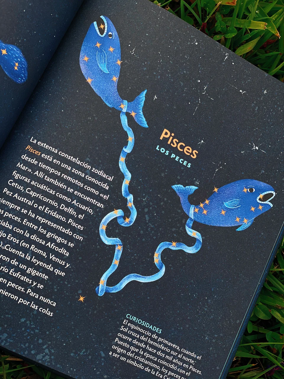 Los animales del cielo, image 6