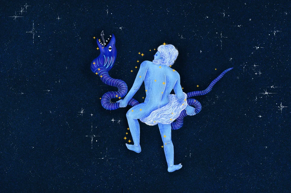 Los animales del cielo, image 15