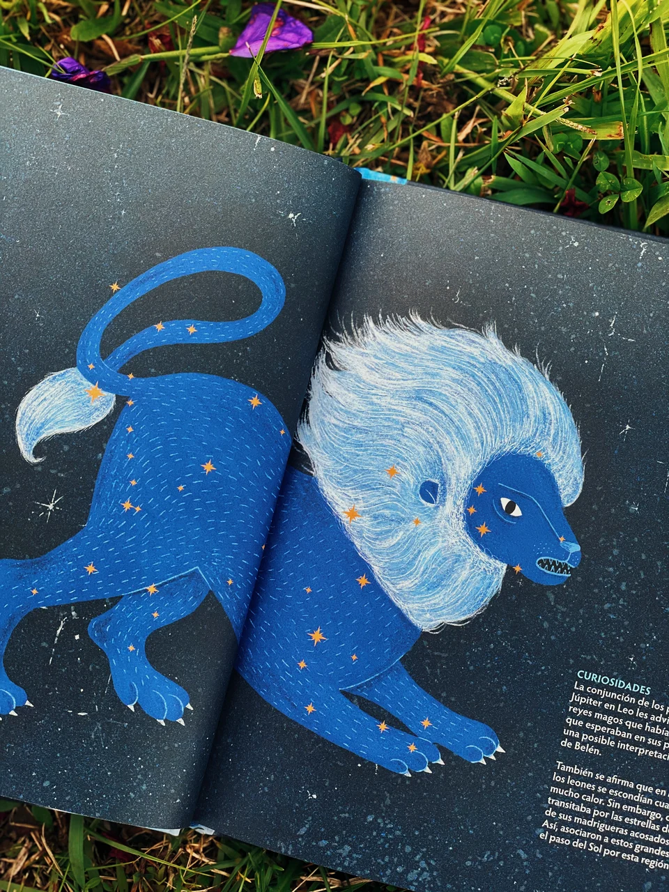 Los animales del cielo, image 25