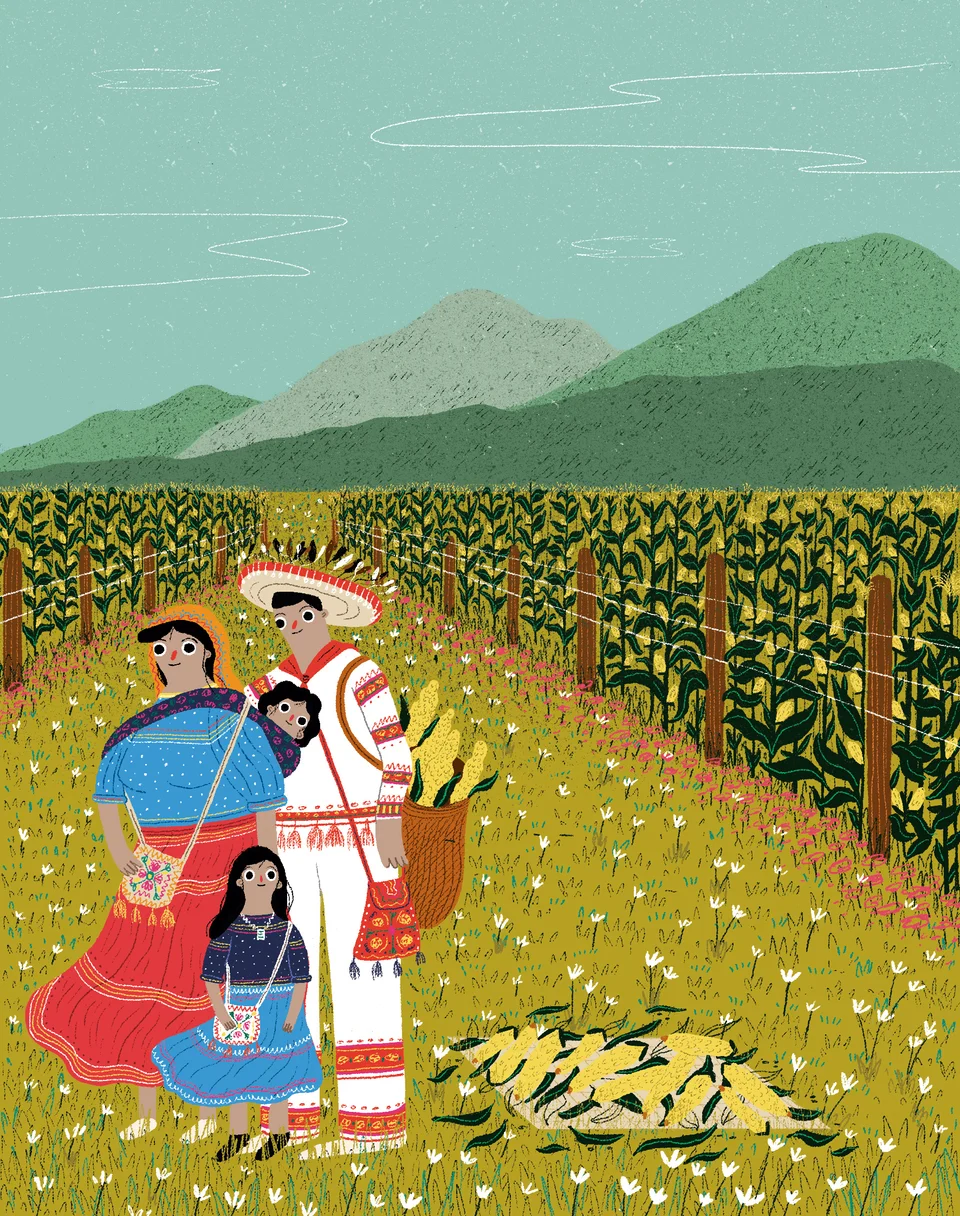 México Cuenta, image 11