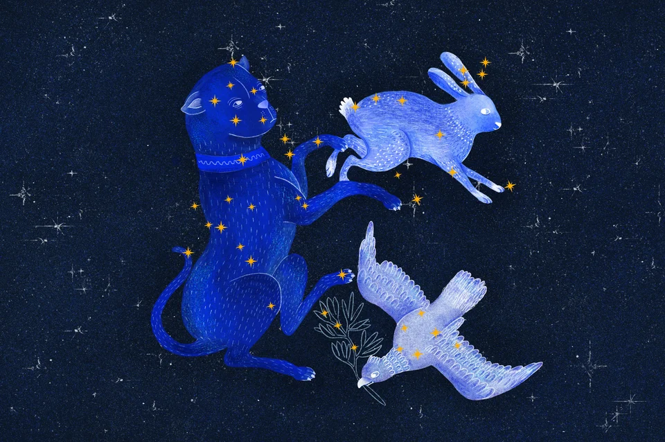 Los animales del cielo, image 17