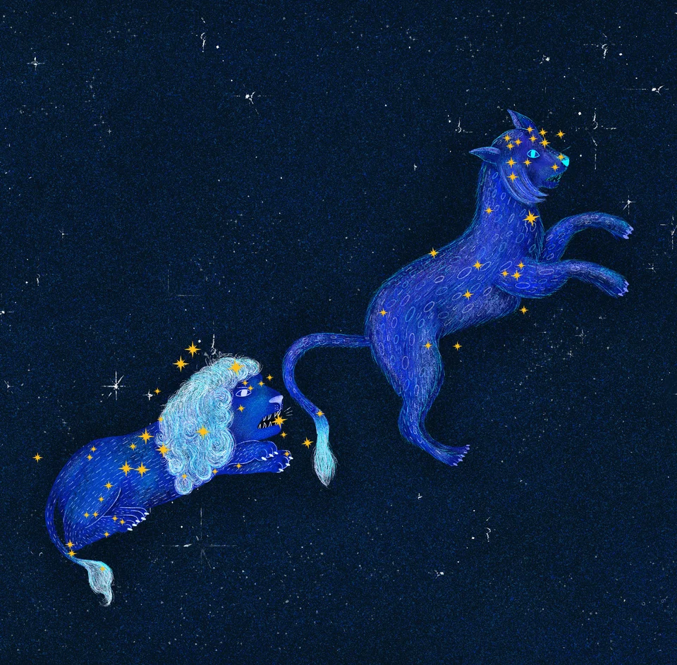 Los animales del cielo, image 3
