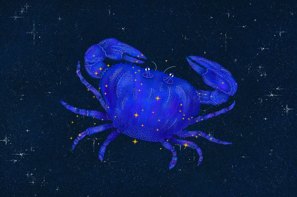 Los animales del cielo, image 18