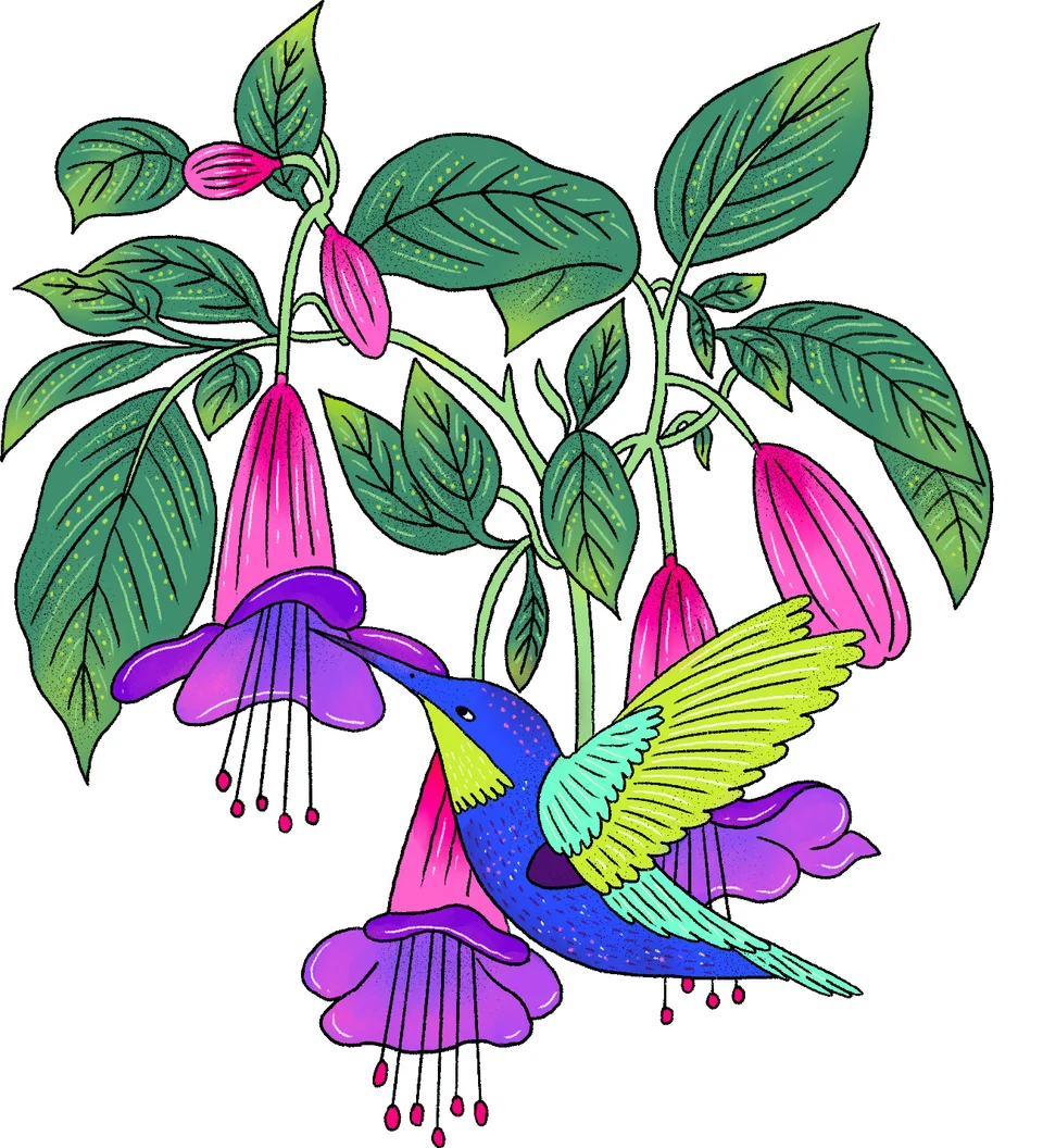 Canva Represents: Colombia, image 18