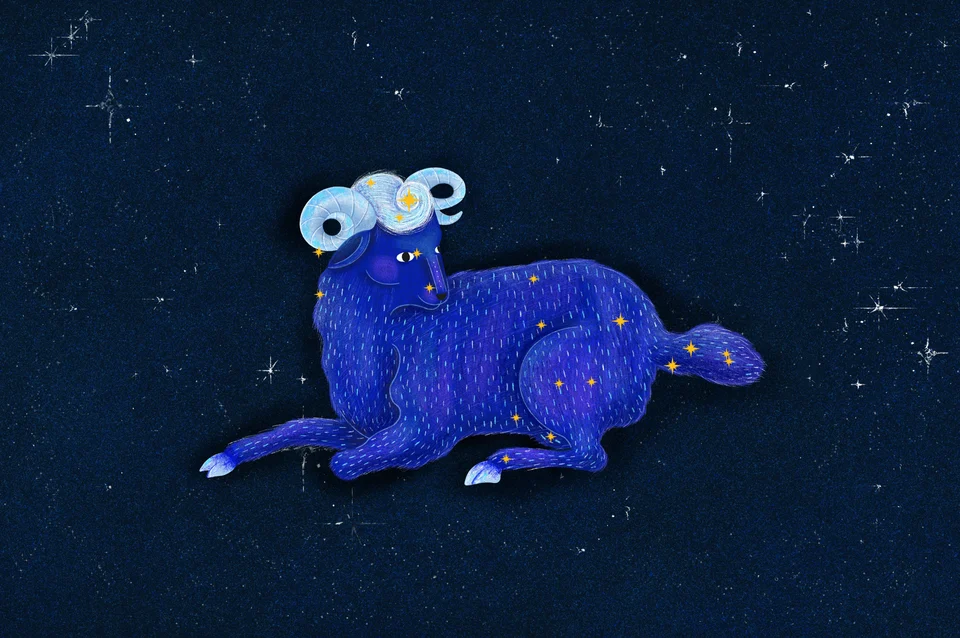Los animales del cielo, image 16