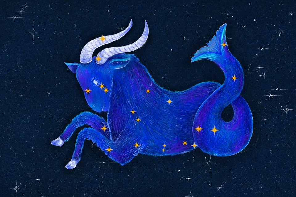 Los animales del cielo, image 22